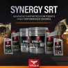 TRIAX Synergy SRT 10W-40 High Mileage PAO & Ester API SN | BOUTIQUE OILS